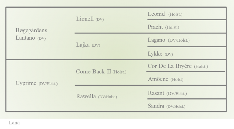 lana-stamtavle