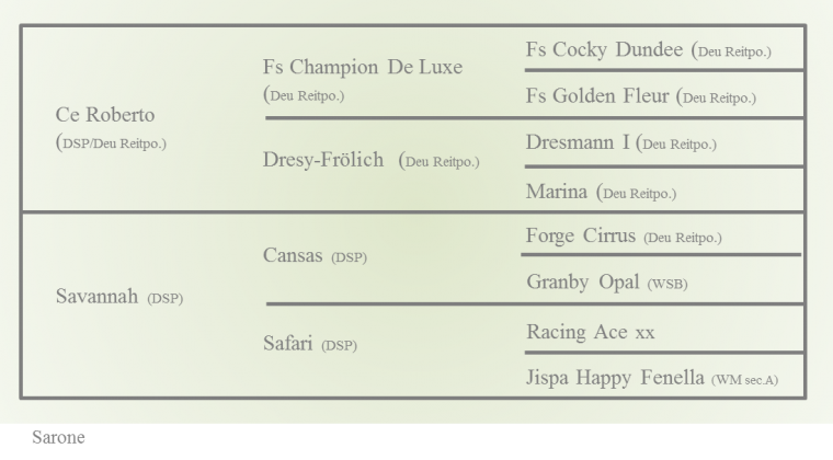 sarone-stamtavle