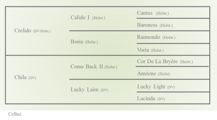 cellini-stamtavle