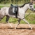 sarone-p01-02-800x533