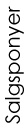 salgsponyer