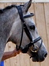 Sarone